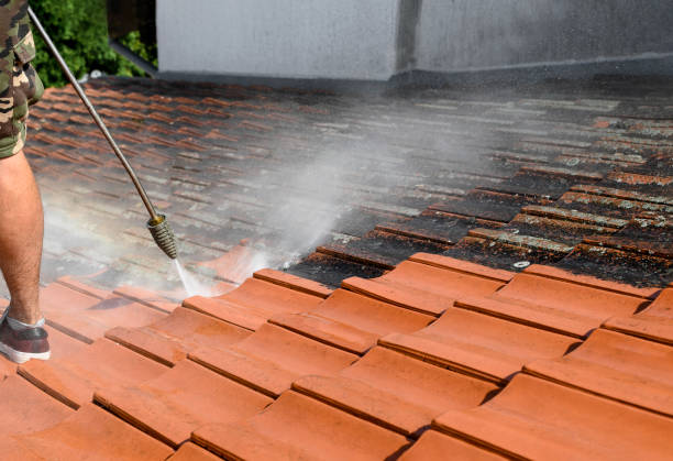 Best Sidewalk Pressure Washing  in Ingalls Park, IL
