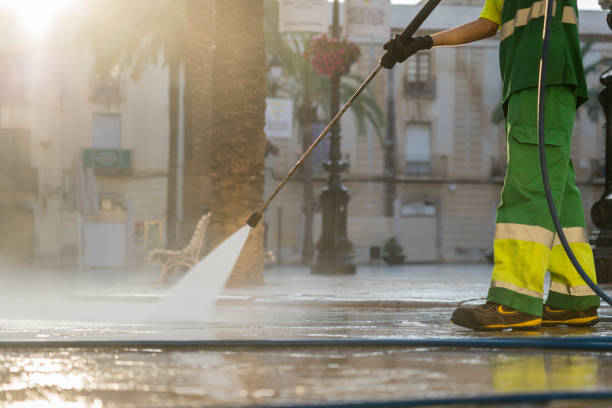 Best Roof Pressure Washing  in Ingalls Park, IL